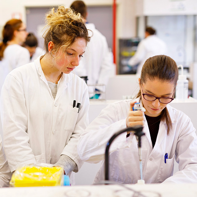 Génie Biologique